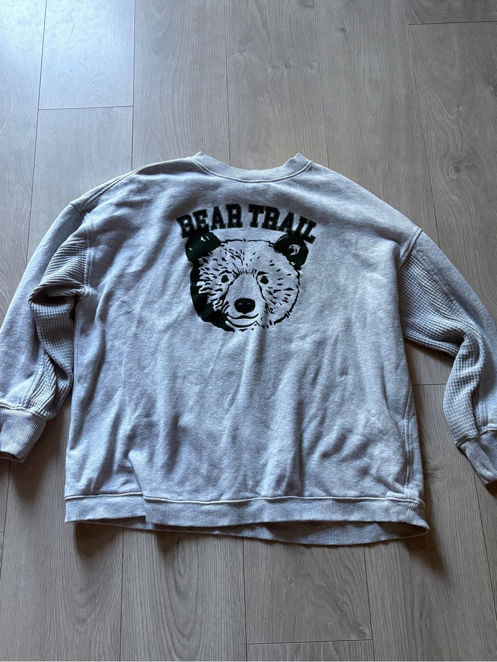 aerie Bear Trail Crewneck Sweatshirt - Light Gray with Green Graphic